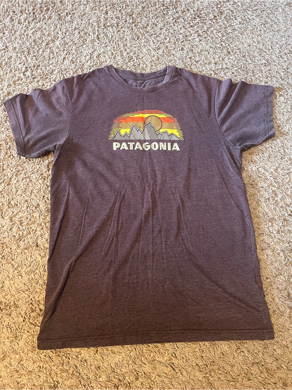 Women’s Patagonia T-Shirt